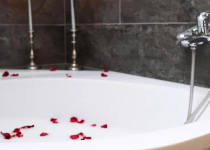 Galina's Sauna-spa! Apartment